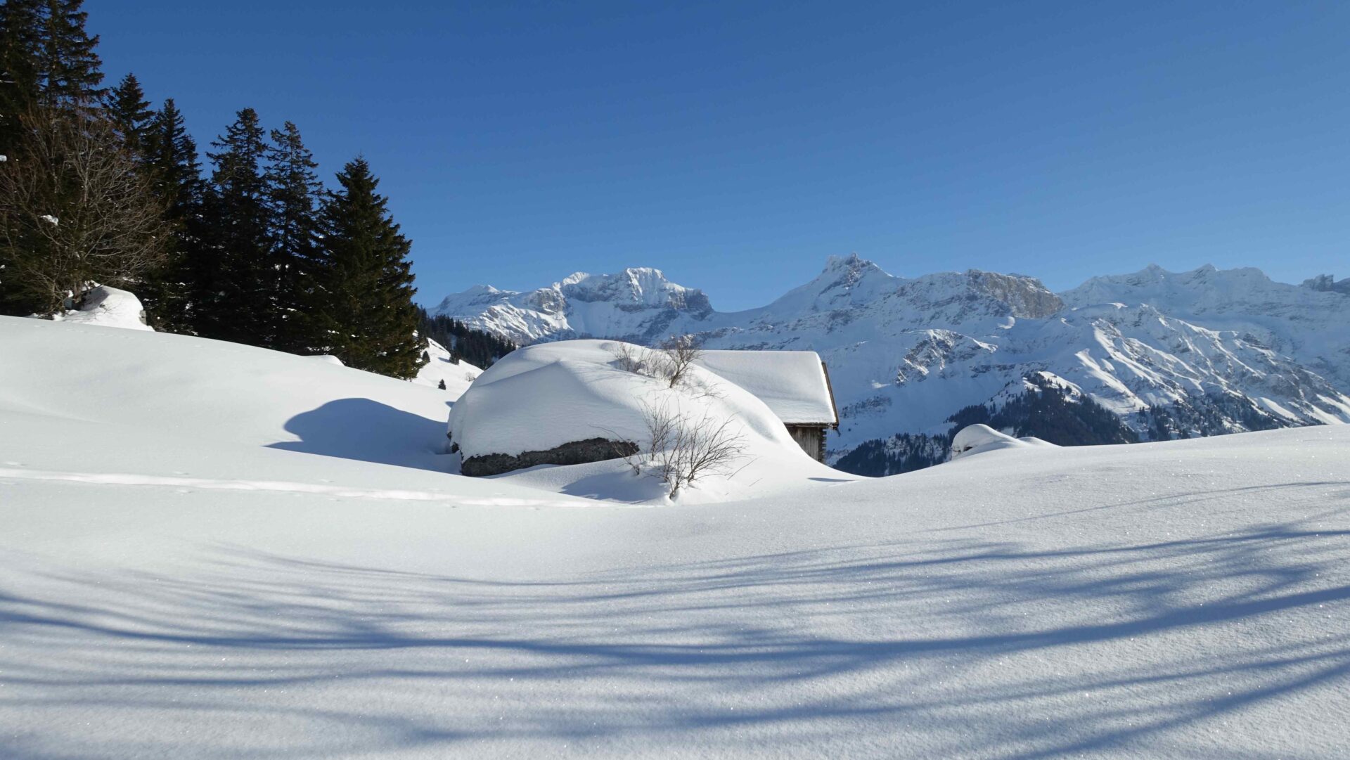 Ü70 Schneeschuhtouren Schächental Alex Gisler DSC02224