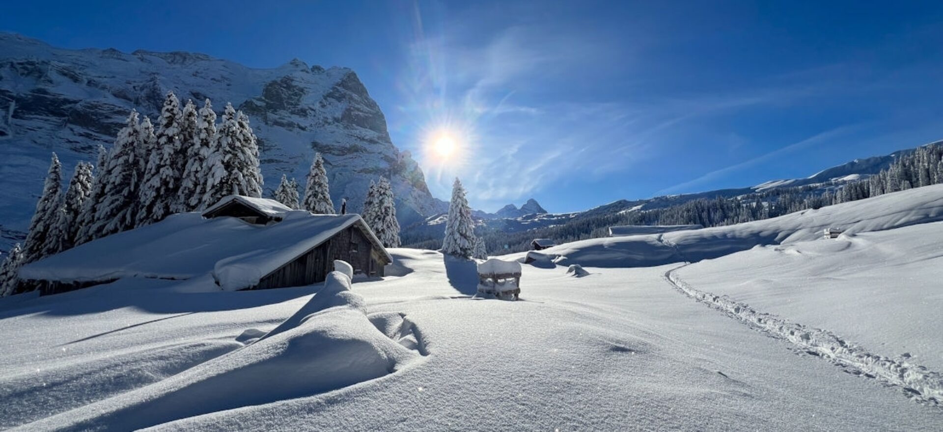 Skitouren schwarzwaldalp rosenlaui freshies ch 2025 05 233 Rosenlaui Bidem IMG8930