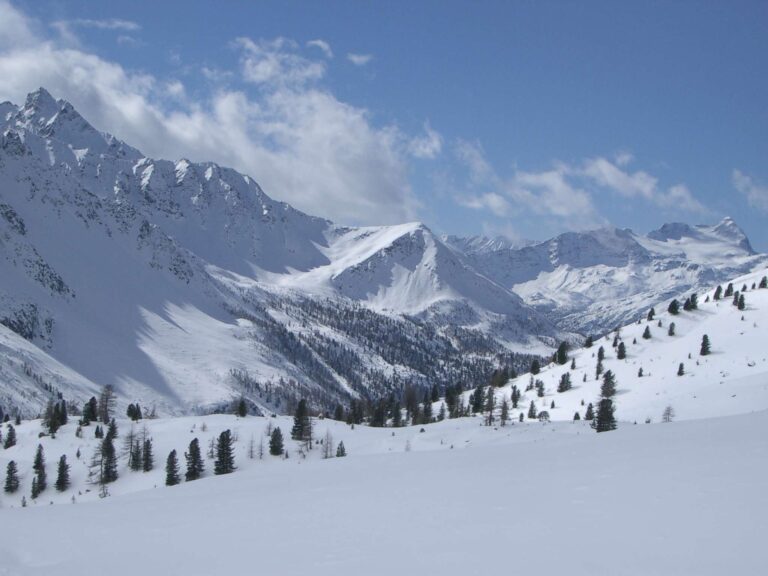 Skitouren Saoseo Alex Gisler 13 Blick hinaus durch das Val di Camp mit P Scalino