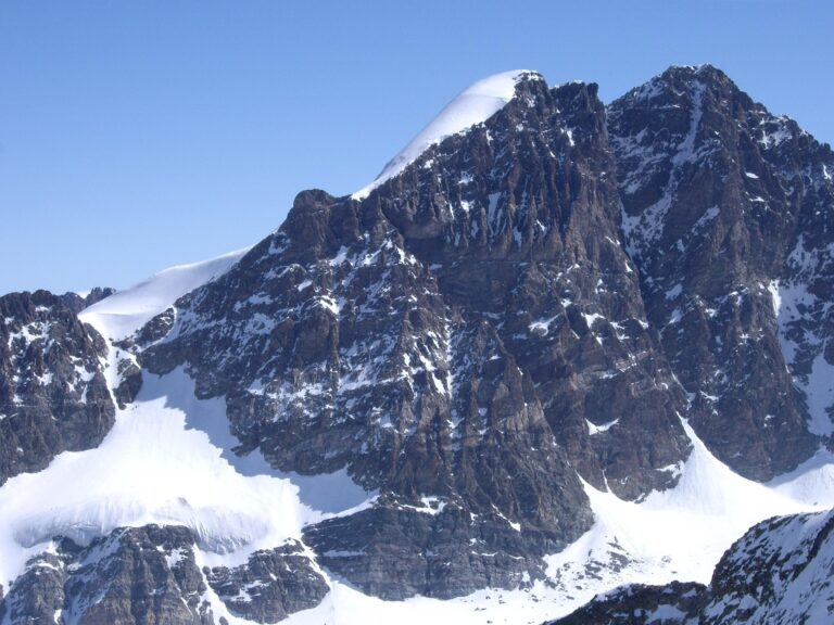 Skihochtouren Piz Roseg Piz Bernina Piz Palü Alex Gisler 07 Mächtige Südwestwand Piz Roseg