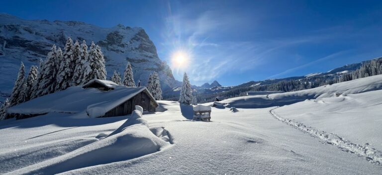 Skitouren schwarzwaldalp rosenlaui freshies ch 2025 05 233 Rosenlaui Bidem IMG8930
