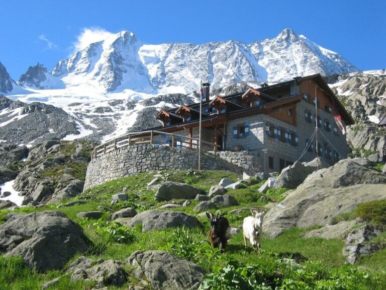 Hochtouren anspruchsvoll Cima Presanella Adamello STAVEL FRANCESCO DENZA
